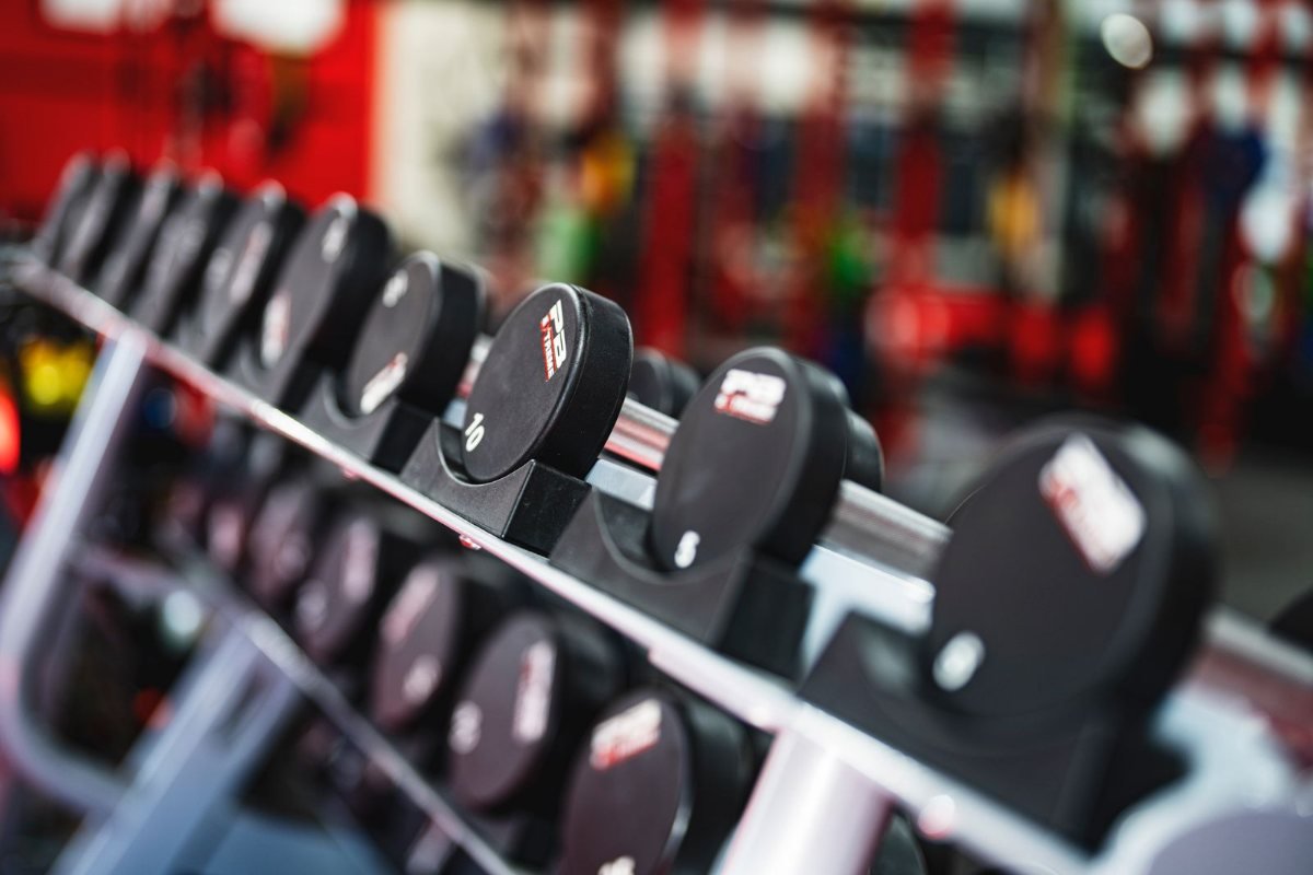 A row of dumbbells on a rack in a gym.