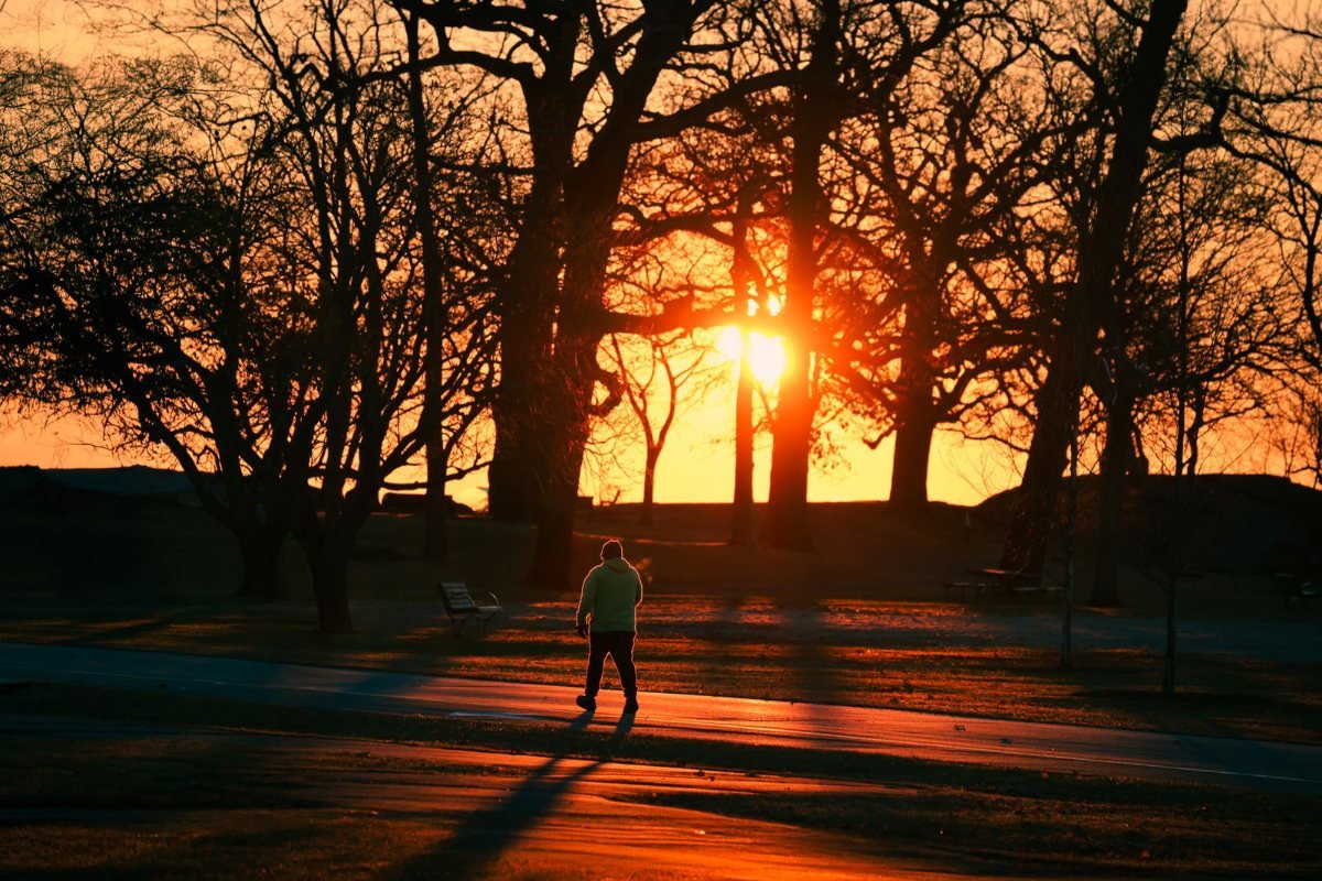A lone walker at sunrise among silhouetted trees in a park.