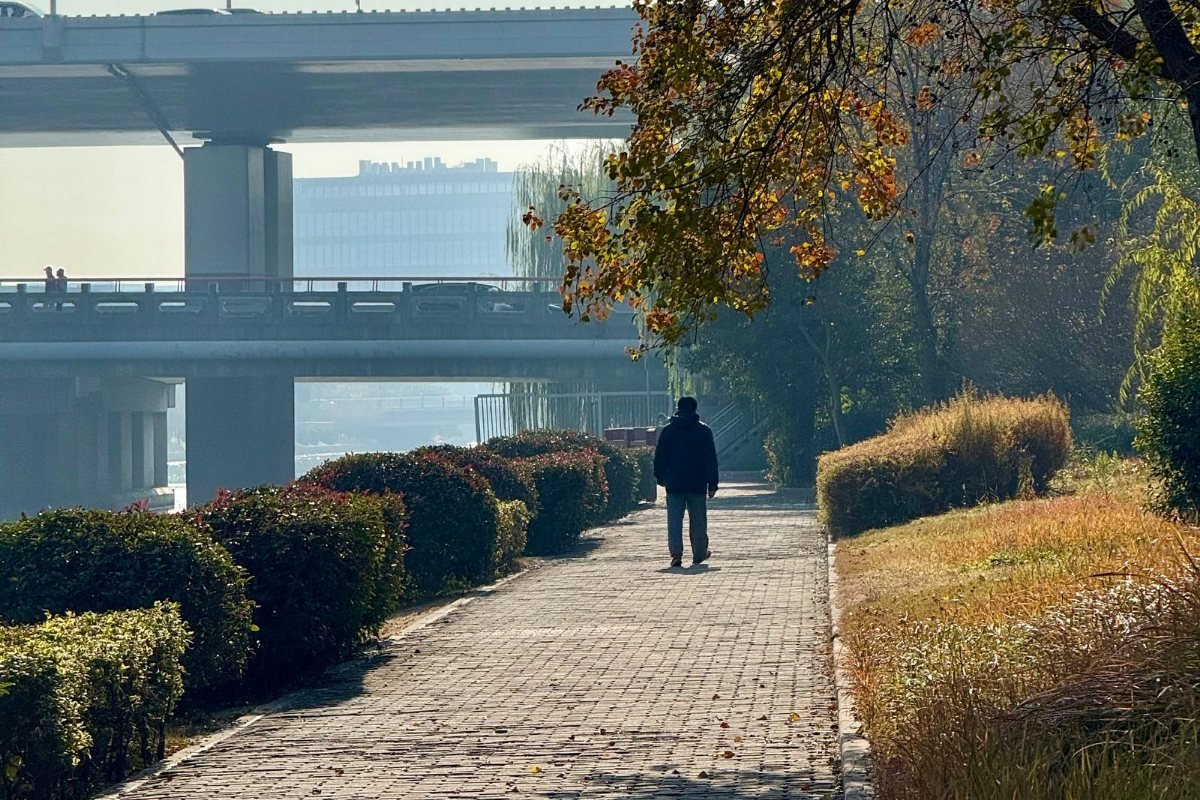 A person walking along a riverside path in autumn.